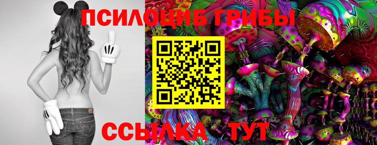 Псилоцибиновые грибы Psilocybine cubensis  наркотики  Городец  Вход с VPN 